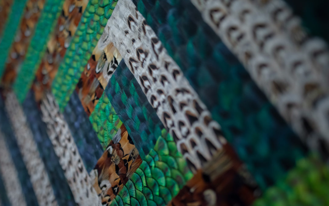 Q&A For Artbay Gallery’s Whakapapa Exhibition